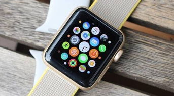 入門級智能手表 科技浪潮下的平民化新寵